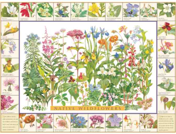 Good Nature Publishing Company: Bidders' Choice of Eastern Wildflower or NW Conifer Poster
