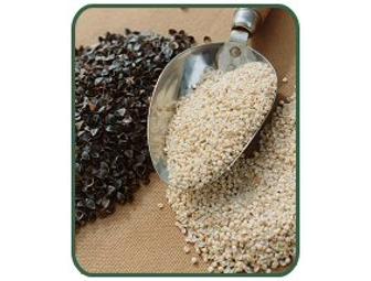 Pema Design: Buckwheat Hull Zafu