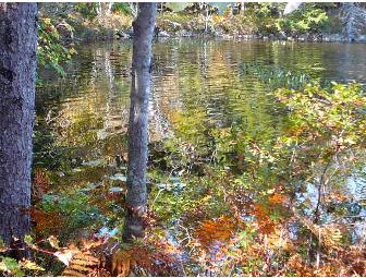 Milklake Retreat Center, Nova Scotia: One-week Retreat