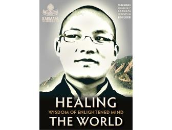 Karmapa Foundation: 'Wisdom of Enlightened Mind', Three-DVD Set