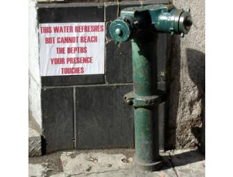 Every Day Enchantment: Your choice of photos