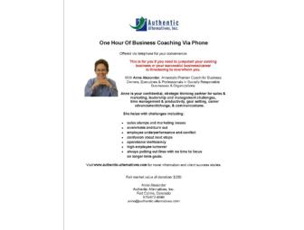 Authentic Alternatives, Inc.: One-Hour Business Coaching Session by Phone