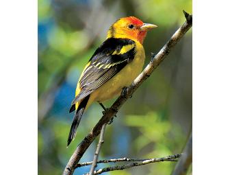 Earth Sanctuary Retreat: Overnight stay