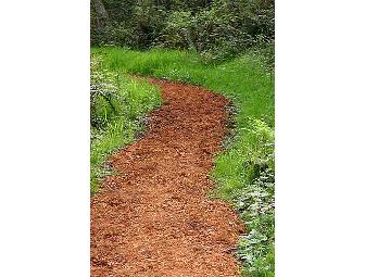 Earth Sanctuary Retreat: Overnight stay