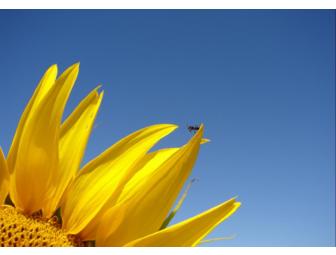 Casa Garuda, Italy: Week-Long Stay