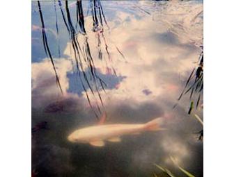 Karme Choling: One-week Simplicity Meditation Retreat