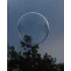 Every Day Enchantment Photography