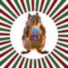 Peggy Collins Photo Art