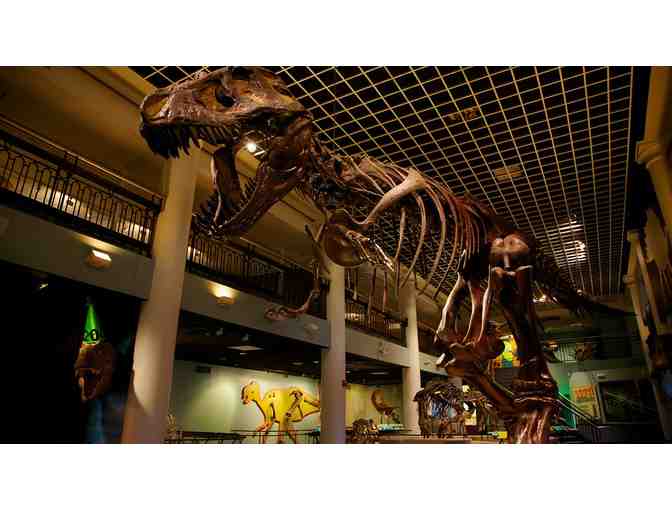 City Science Package