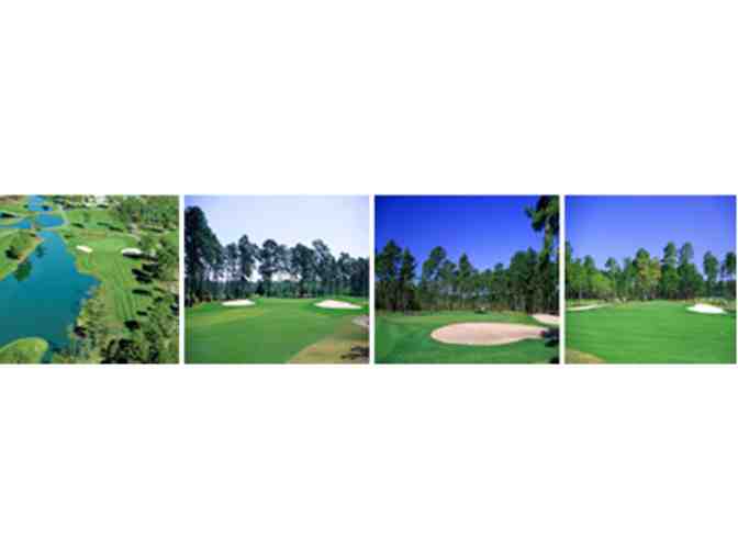 National Golf Management,  South Carolina