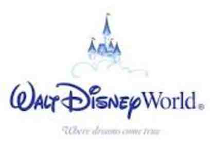 Walt Disney World (Florida) passes