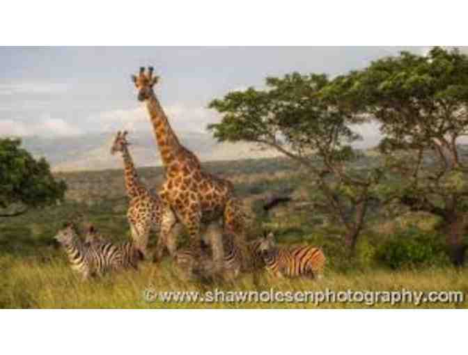 South African Photo Safari for two at Zulu Nyala