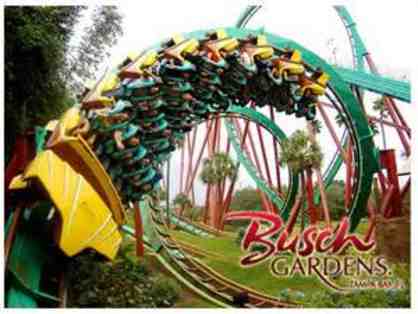 Busch Gardens Tampa Bay