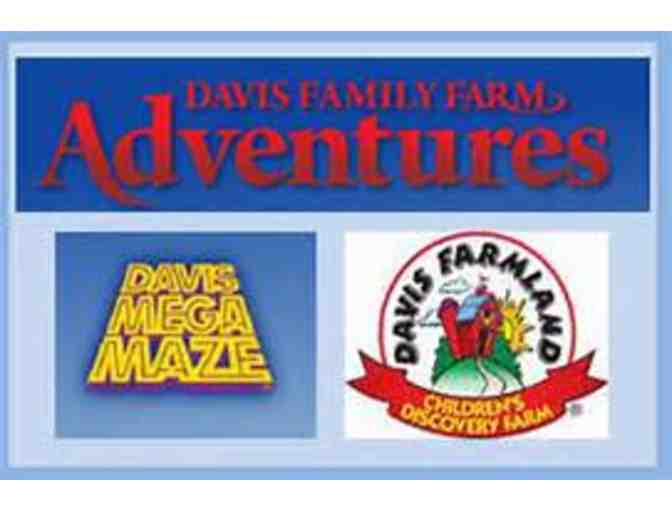 Davis Family Farm Adventures, Sterling, MA