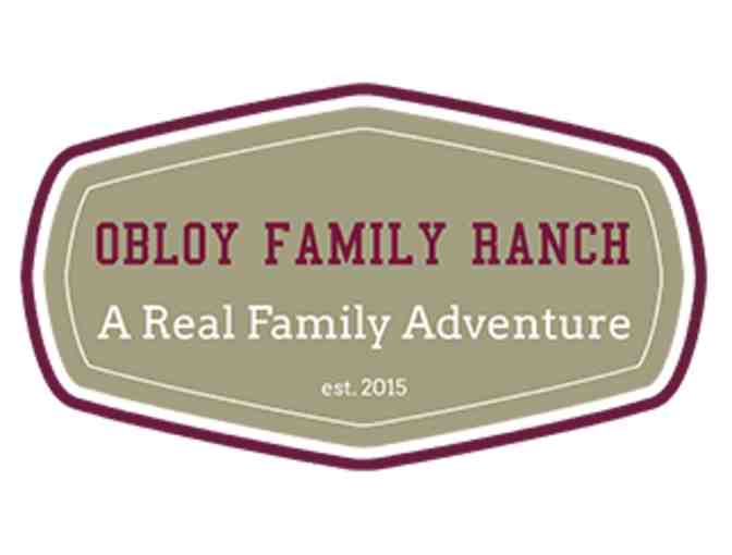 Obloy Family Ranch Exotic Petting Farm /Zoo, Florida - Photo 1