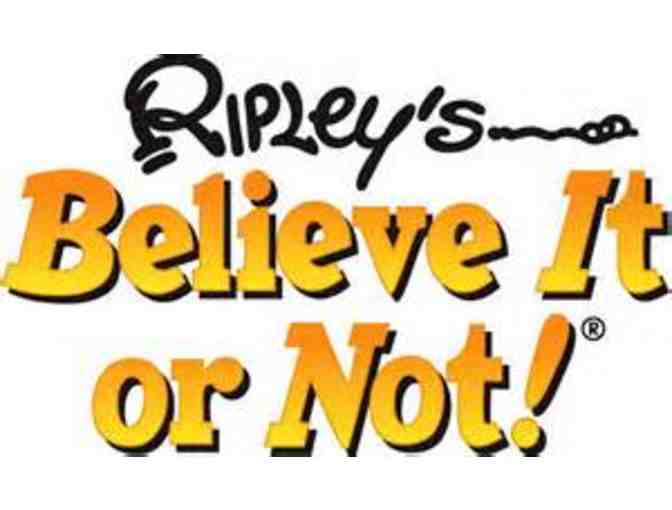 Ripley's Believe It or Not! Williamsburg, VA - Photo 1