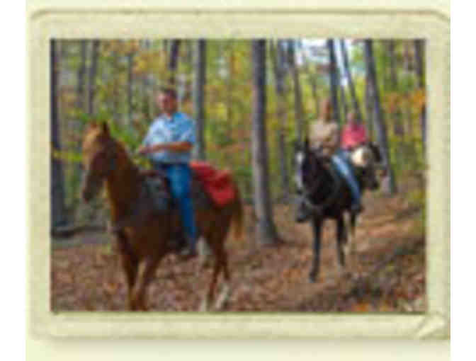 Trail Ride at Brasstown Valley Resort &amp; Spa, Young Harris, GA - Photo 1