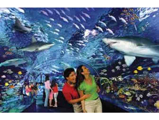 Ripley's Aquarium, Myrtle Beach, SC - Photo 1