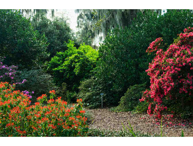 Bok Tower Gardens, Lake Wales, FL - Photo 2