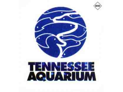 Tennessee Aquarium, Chattanooga, TN