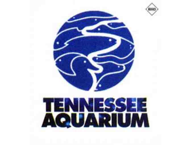 Tennessee Aquarium, Chattanooga, TN - Photo 1