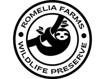 Romelia Farms, Merritt Island, Fl. Sloth Encounter