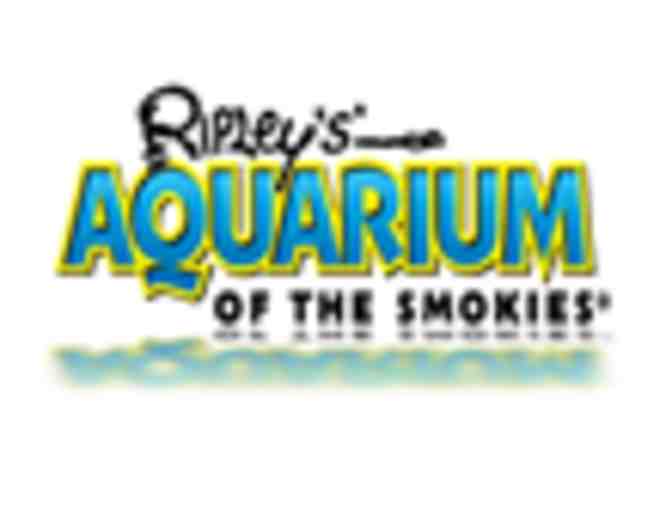 Ripley's Aquarium of the Smokies, Gatlinburg, TN - Photo 1
