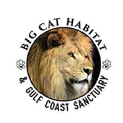 Big Cat Habitat, Sarasota, FL