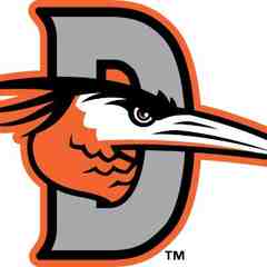 Delmarva Shorebirds