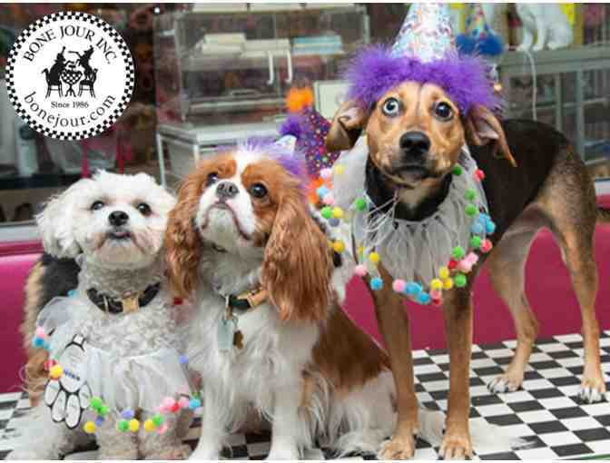 Dog Party! Have a dog party or just a doggie get together at Bone Jour!