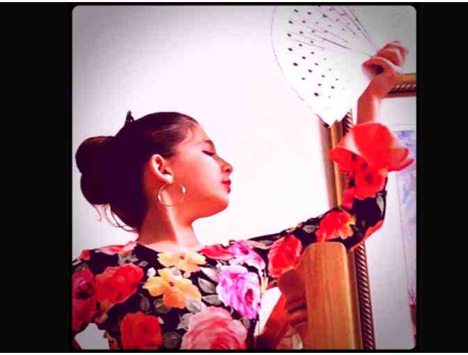The Art of Flamenco - Learn to Dance
