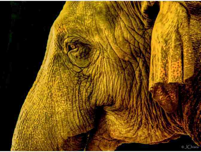 Eye to Eye (2-part series)