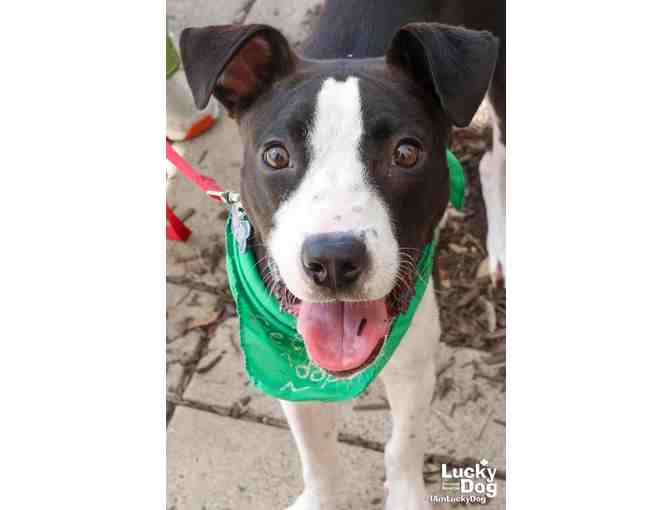 PUT EXTRA PEP IN PERRY'S STEP