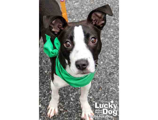 PUT EXTRA PEP IN PERRY'S STEP