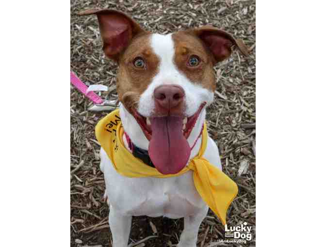 A PRETTY PATTERN FOR A PRETTY GIRL