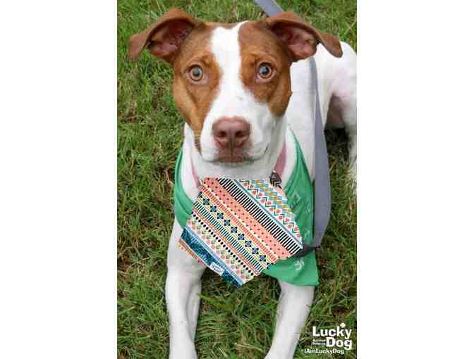 A PRETTY PATTERN FOR A PRETTY GIRL