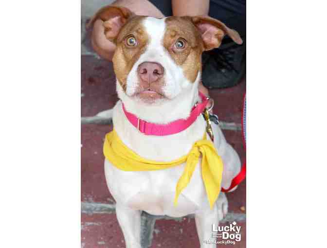 A PRETTY PATTERN FOR A PRETTY GIRL