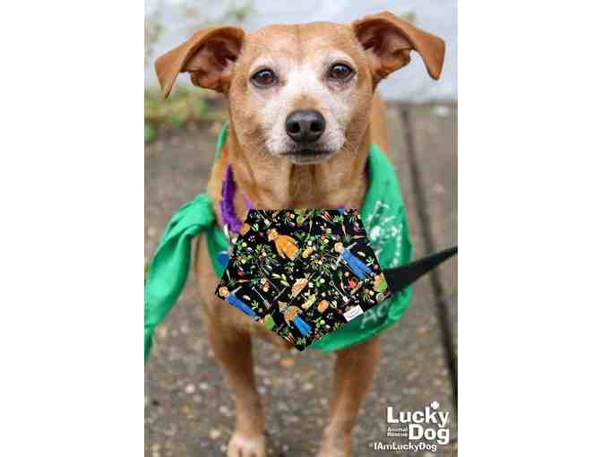 THE PERFECT FALL FASHION BANDANA FOR MYRTLE!