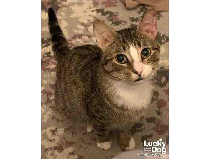 MELVIN IS A GIFT - PUT A BOW ON HIM!