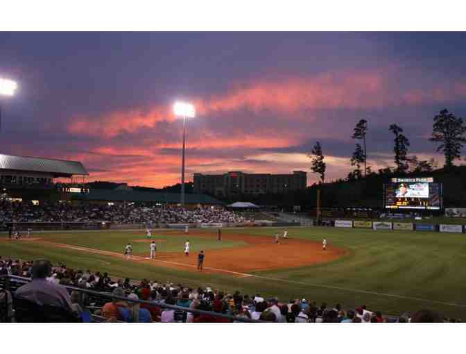 Batter UP! Tennessee Smokies Baseball