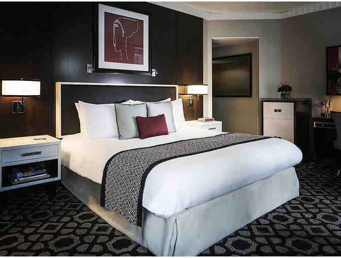 A Weekend Stay in Washington, DC with your Dog!