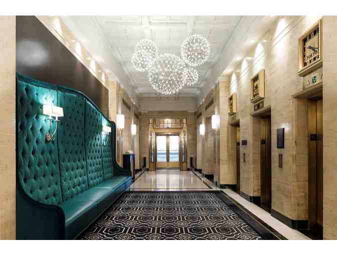 A Weekend Stay in Washington, DC with your Dog!