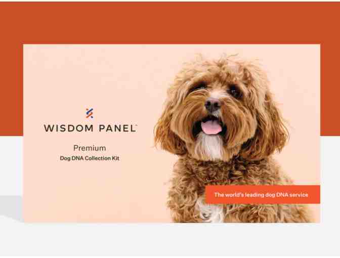 RAFFLE: WISDOM PANEL - Dog DNA Collection Kit