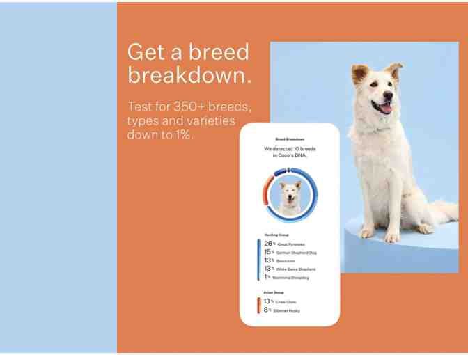 RAFFLE: WISDOM PANEL - Dog DNA Collection Kit
