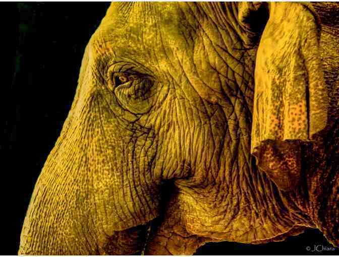 Eye to Eye (2-part series)