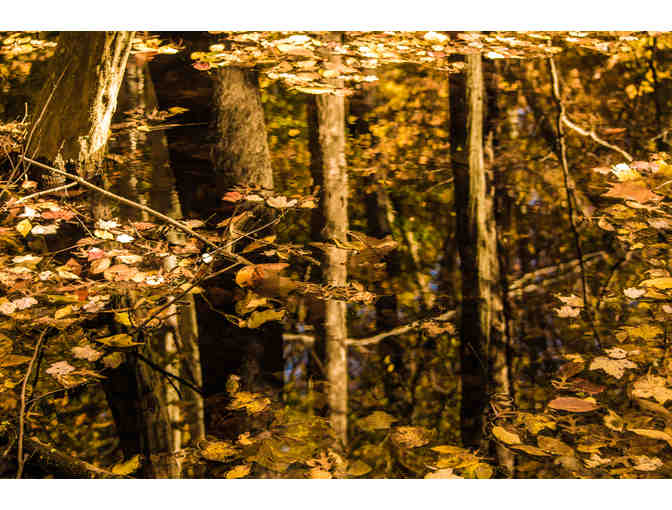 Mirrored Image (Series of 3)