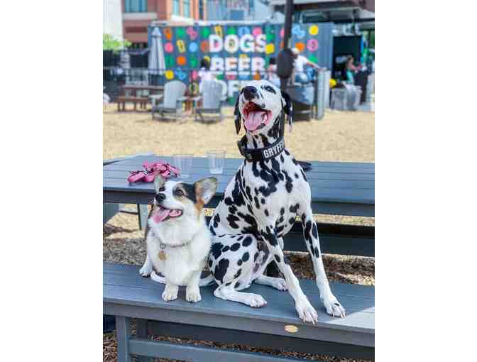 A Barking GOOD TIME! at Bark Social, MD - annual membership