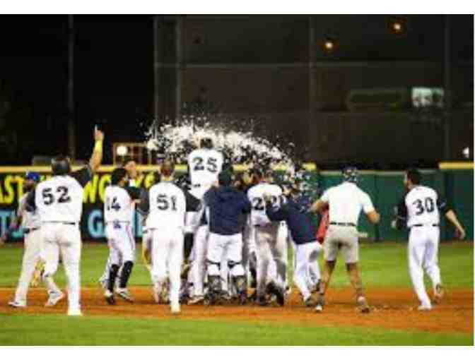 Charleston WV Dirty Birds Baseball!