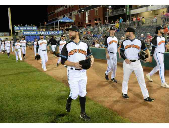 Charleston WV Dirty Birds Baseball!