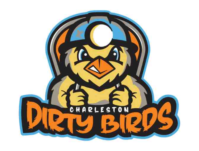 Charleston WV Dirty Birds Baseball!